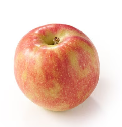 生産者：北田正和さん他が栽培した贅沢1玉甘酸っぱいりんごの画像