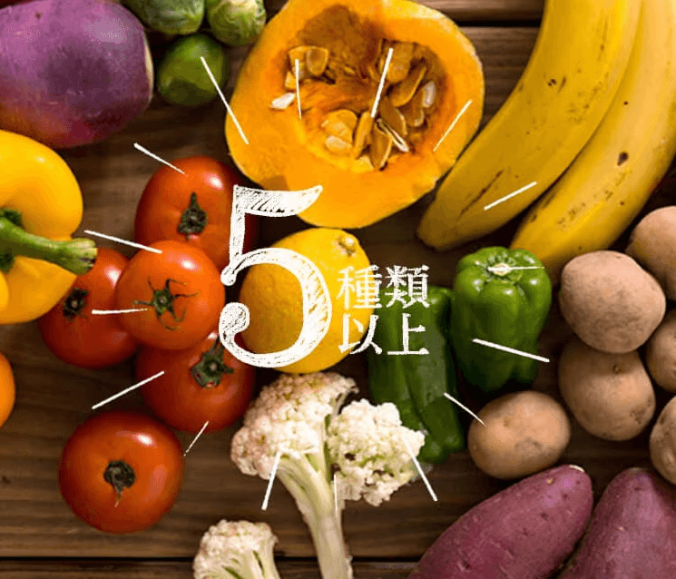 KitOisixミールキットは5種類以上の野菜が入っている画像